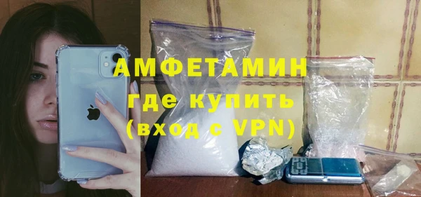 шишки Абаза