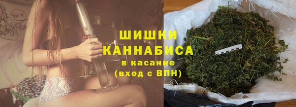 шишки Абаза