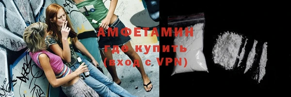 шишки Абаза