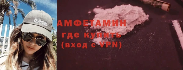 шишки Абаза
