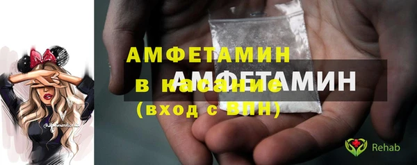 шишки Абаза