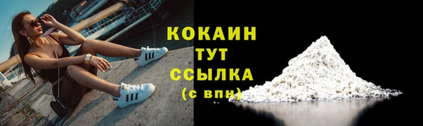 шишки Абаза