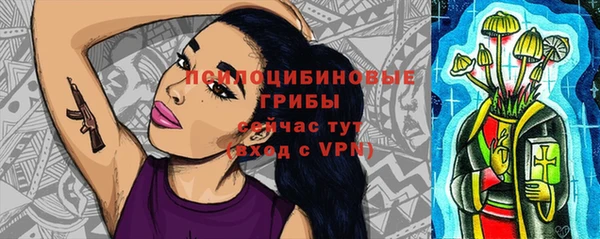 шишки Абаза