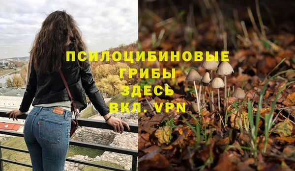 шишки Абаза