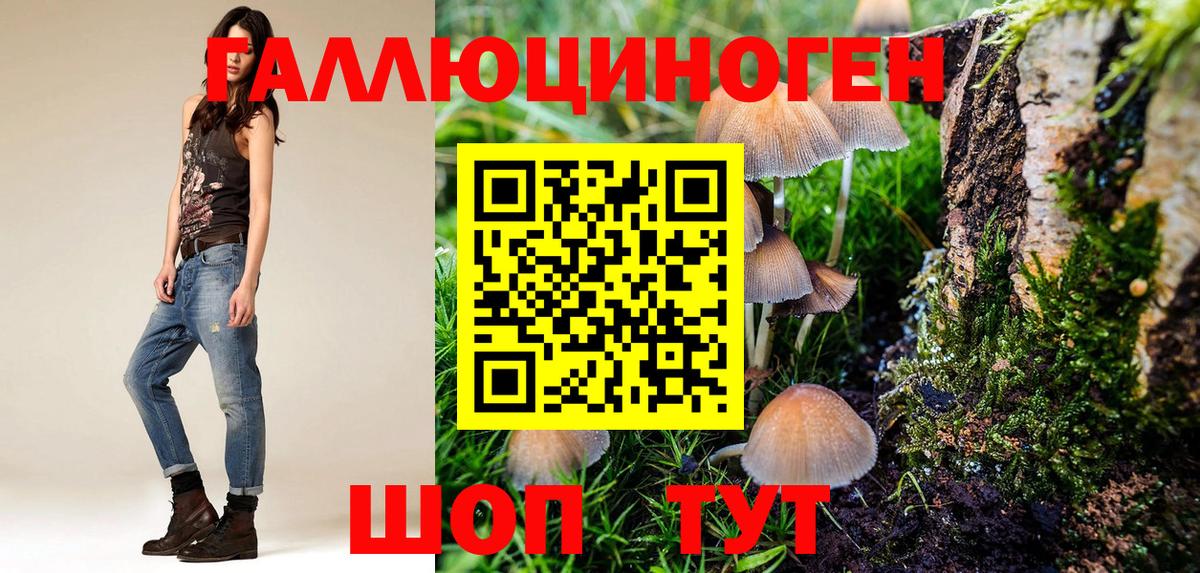 Галлюциногенные грибы Cubensis Черемхово